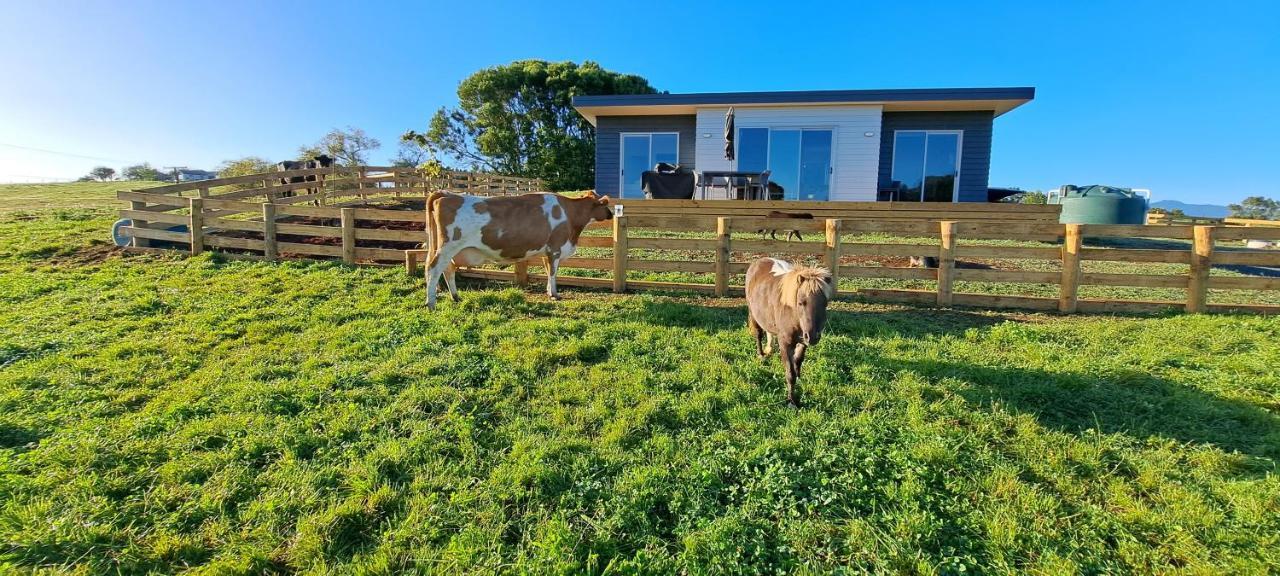Country Comfort - Only 10 Minutes From Hamilton Cbd Exterior foto