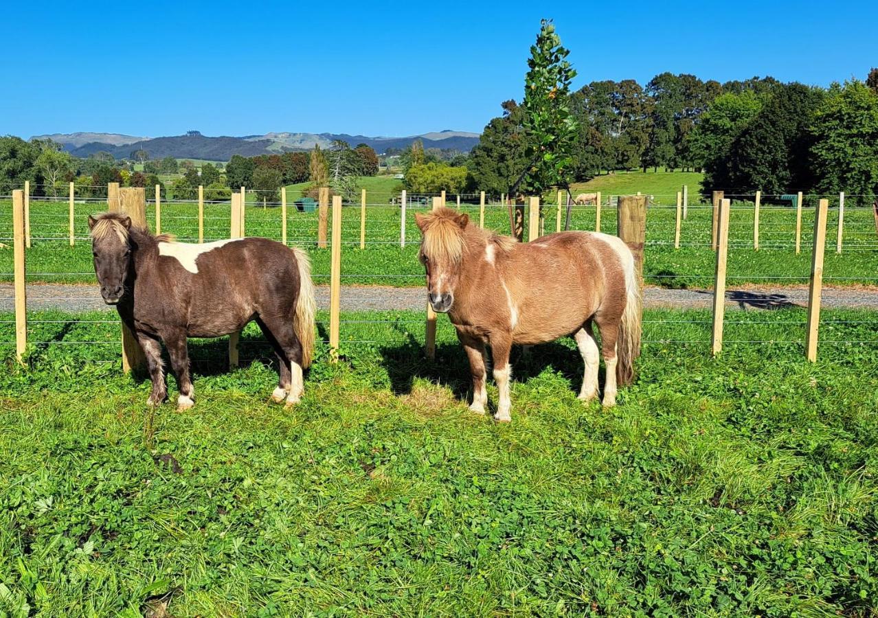 Country Comfort - Only 10 Minutes From Hamilton Cbd Exterior foto