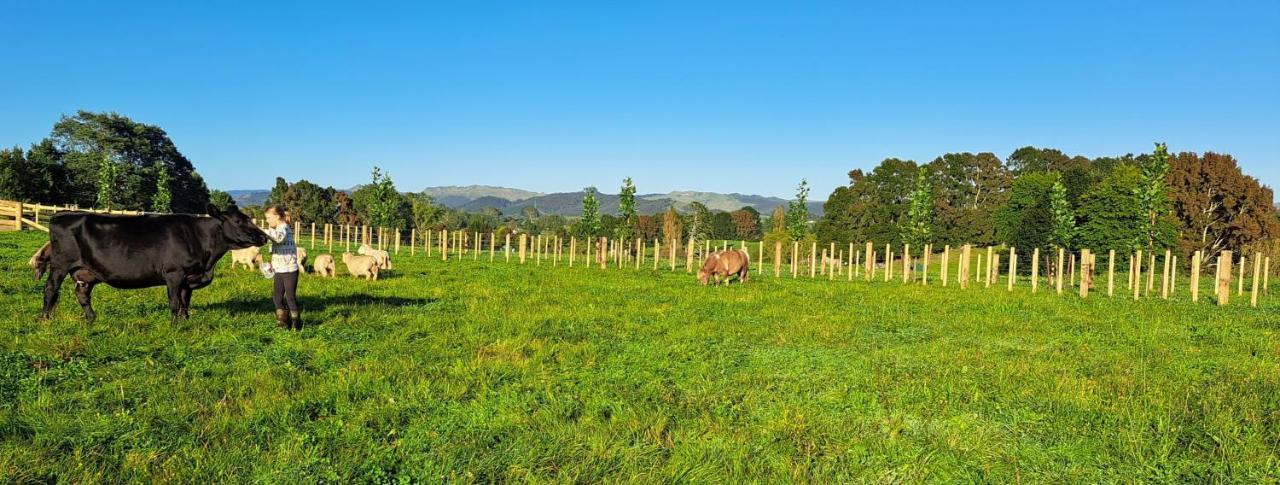 Country Comfort - Only 10 Minutes From Hamilton Cbd Exterior foto
